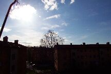 Blick aus dem Wohnzimmer (1)