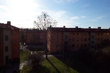 Blick aus dem Wohnzimmer (2)